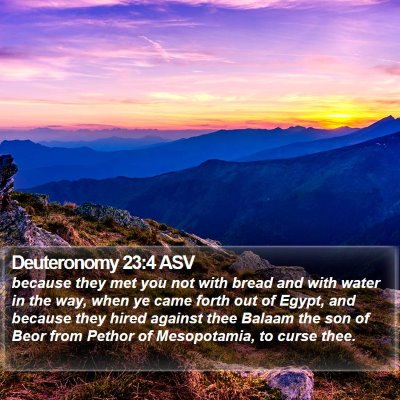 Deuteronomy 23:4 ASV Bible Verse Image