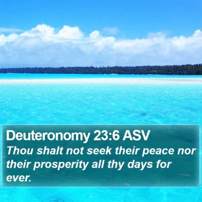 Deuteronomy 23:6 ASV Bible Verse Image
