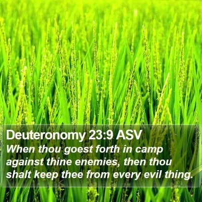 Deuteronomy 23:9 ASV Bible Verse Image