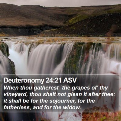 Deuteronomy 24:21 ASV Bible Verse Image