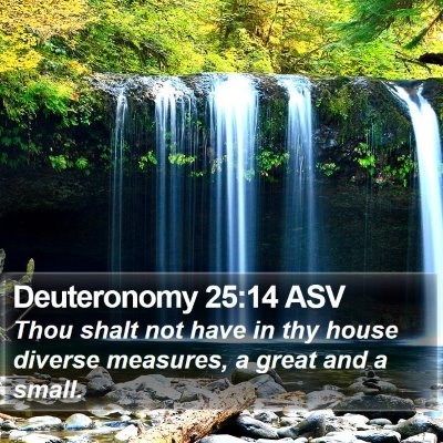 Deuteronomy 25:14 ASV Bible Verse Image