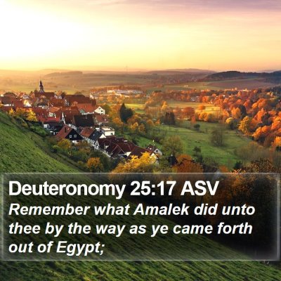 Deuteronomy 25:17 ASV Bible Verse Image