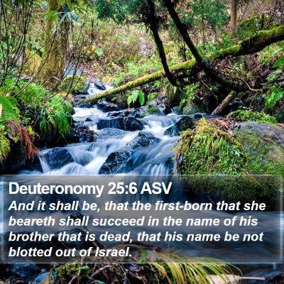 Deuteronomy 25:6 ASV Bible Verse Image