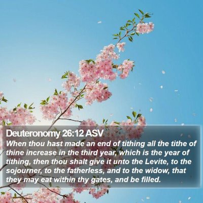 Deuteronomy 26:12 ASV Bible Verse Image