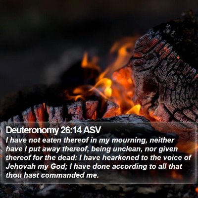 Deuteronomy 26:14 ASV Bible Verse Image