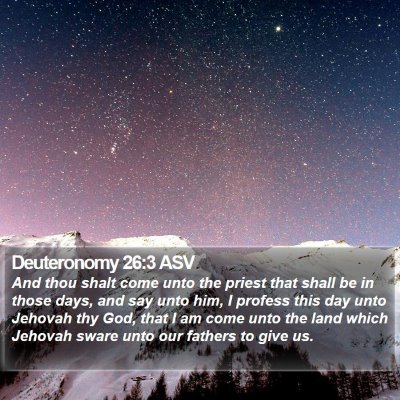 Deuteronomy 26:3 ASV Bible Verse Image