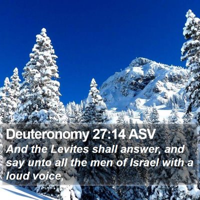 Deuteronomy 27:14 ASV Bible Verse Image