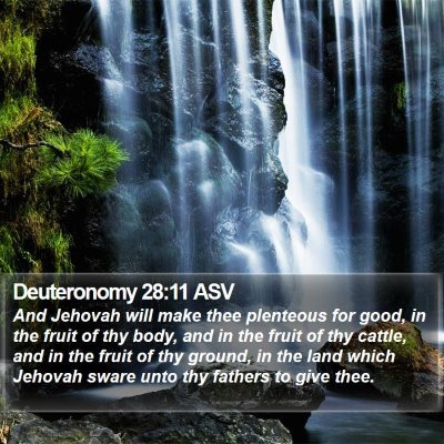 Deuteronomy 28:11 ASV Bible Verse Image