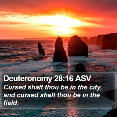 Deuteronomy 28:16 ASV Bible Verse Image