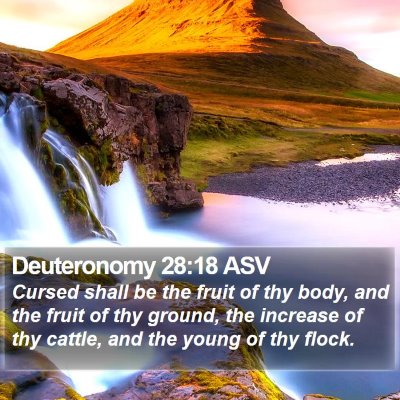 Deuteronomy 28:18 ASV Bible Verse Image