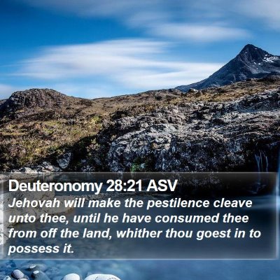 Deuteronomy 28:21 ASV Bible Verse Image