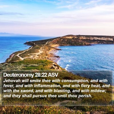 Deuteronomy 28:22 ASV Bible Verse Image
