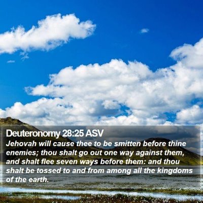 Deuteronomy 28:25 ASV Bible Verse Image
