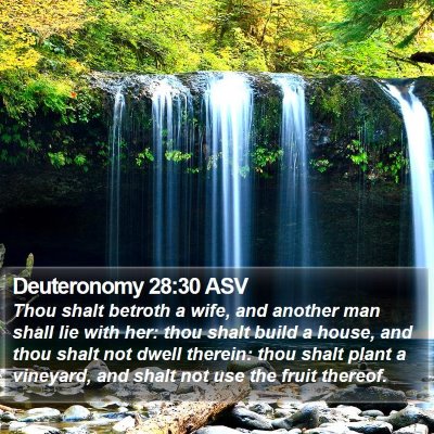 Deuteronomy 28:30 ASV Bible Verse Image