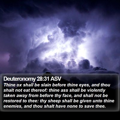Deuteronomy 28:31 ASV Bible Verse Image