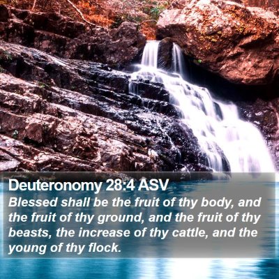 Deuteronomy 28:4 ASV Bible Verse Image