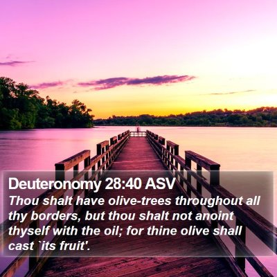 Deuteronomy 28:40 ASV Bible Verse Image