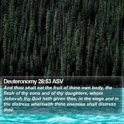 Deuteronomy 28:53 ASV Bible Verse Image