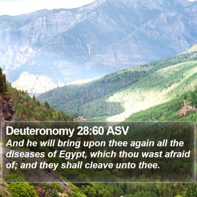 Deuteronomy 28:60 ASV Bible Verse Image