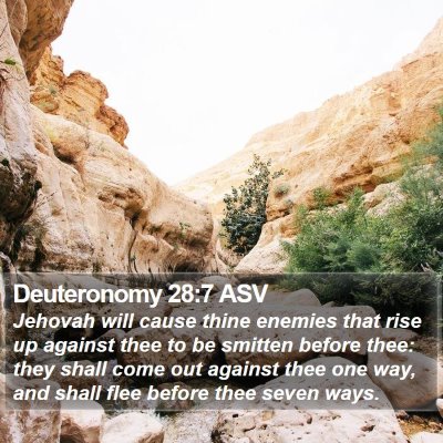 Deuteronomy 28:7 ASV Bible Verse Image