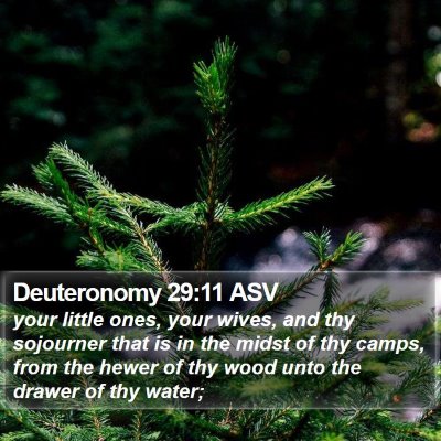 Deuteronomy 29:11 ASV Bible Verse Image