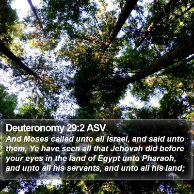 Deuteronomy 29:2 ASV Bible Verse Image
