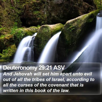Deuteronomy 29:21 ASV Bible Verse Image