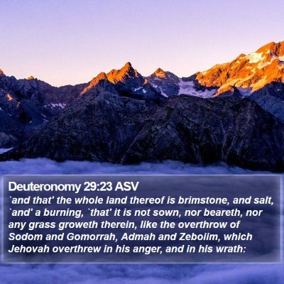 Deuteronomy 29:23 ASV Bible Verse Image