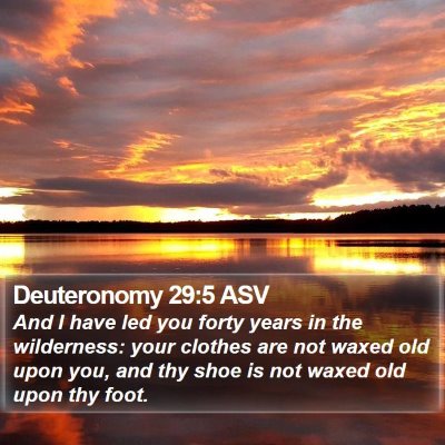 Deuteronomy 29:5 ASV Bible Verse Image