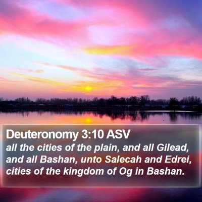 Deuteronomy 3:10 ASV Bible Verse Image