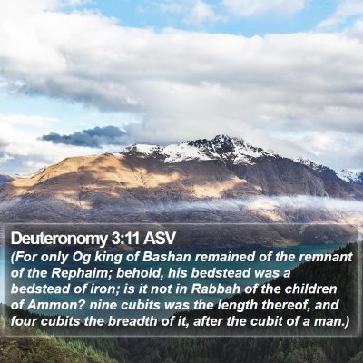 Deuteronomy 3:11 ASV Bible Verse Image