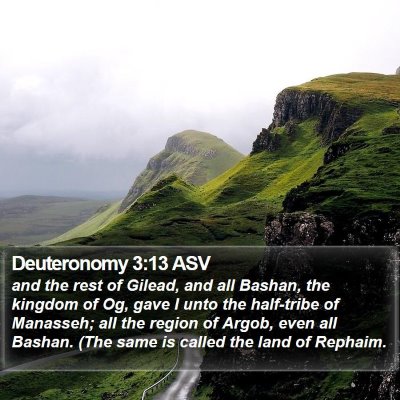 Deuteronomy 3:13 ASV Bible Verse Image