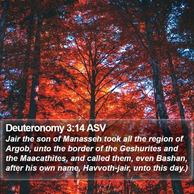 Deuteronomy 3:14 ASV Bible Verse Image
