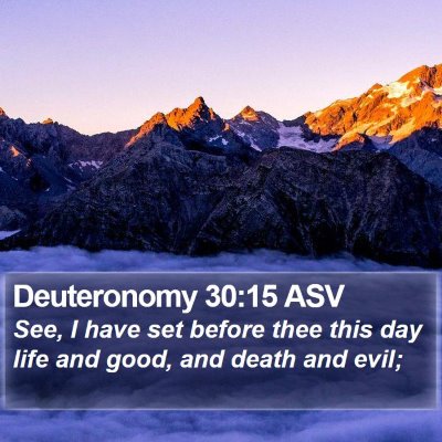 Deuteronomy 30:15 ASV Bible Verse Image