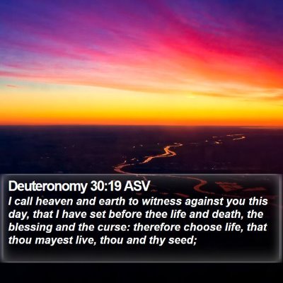 Deuteronomy 30:19 ASV Bible Verse Image