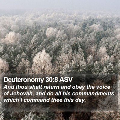 Deuteronomy 30:8 ASV Bible Verse Image