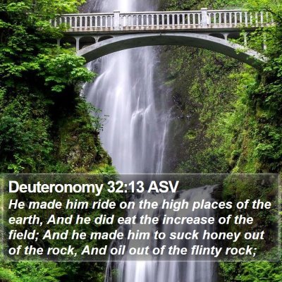 Deuteronomy 32:13 ASV Bible Verse Image