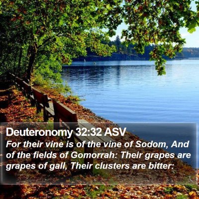 Deuteronomy 32:32 ASV Bible Verse Image