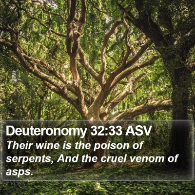 Deuteronomy 32:33 ASV Bible Verse Image