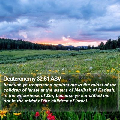 Deuteronomy 32:51 ASV Bible Verse Image