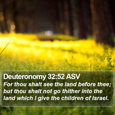Deuteronomy 32:52 ASV Bible Verse Image