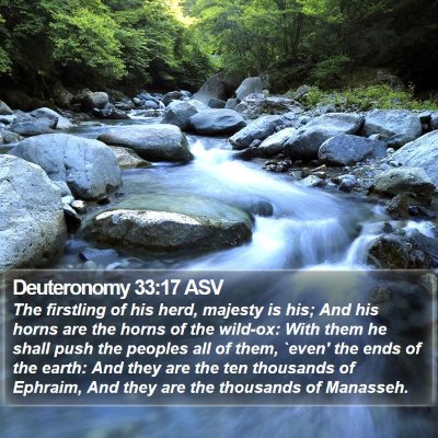 Deuteronomy 33:17 ASV Bible Verse Image