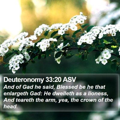 Deuteronomy 33:20 ASV Bible Verse Image
