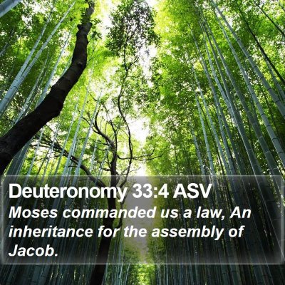 Deuteronomy 33:4 ASV Bible Verse Image