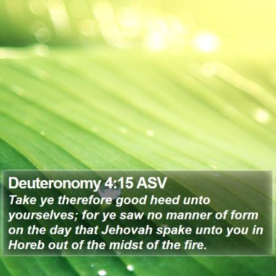 Deuteronomy 4:15 ASV Bible Verse Image