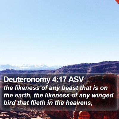 Deuteronomy 4:17 ASV Bible Verse Image