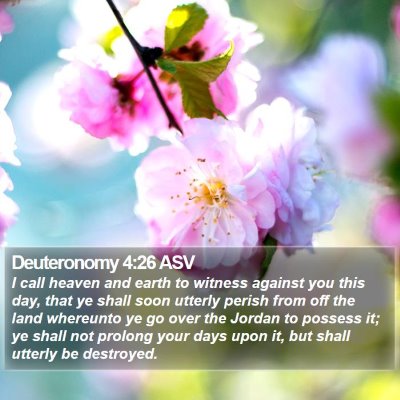 Deuteronomy 4:26 ASV Bible Verse Image