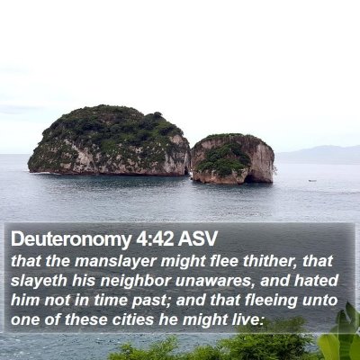 Deuteronomy 4:42 ASV Bible Verse Image