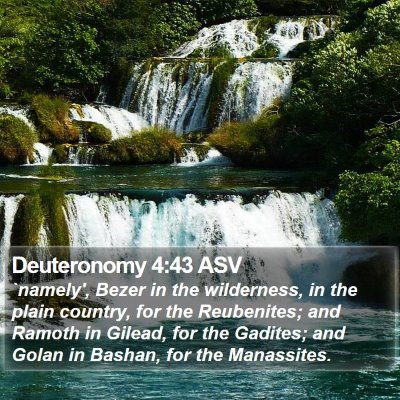 Deuteronomy 4:43 ASV Bible Verse Image