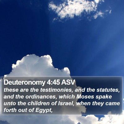 Deuteronomy 4:45 ASV Bible Verse Image